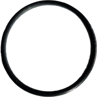 O ring für Quarzglas  Delta UV