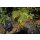 LunAqua Power LED W