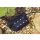 LunAqua Power LED Driver 3 m