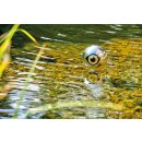 Schwimmender Reiherschreck Ø 15 cm Reiherschutz