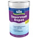 SauerStoffDepot Tabs 30 Stück