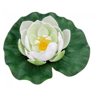 Schwimmende Seerose weiß