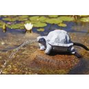 Wasserspeier Schildkröte