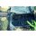 Oase BioSys Skimmer +